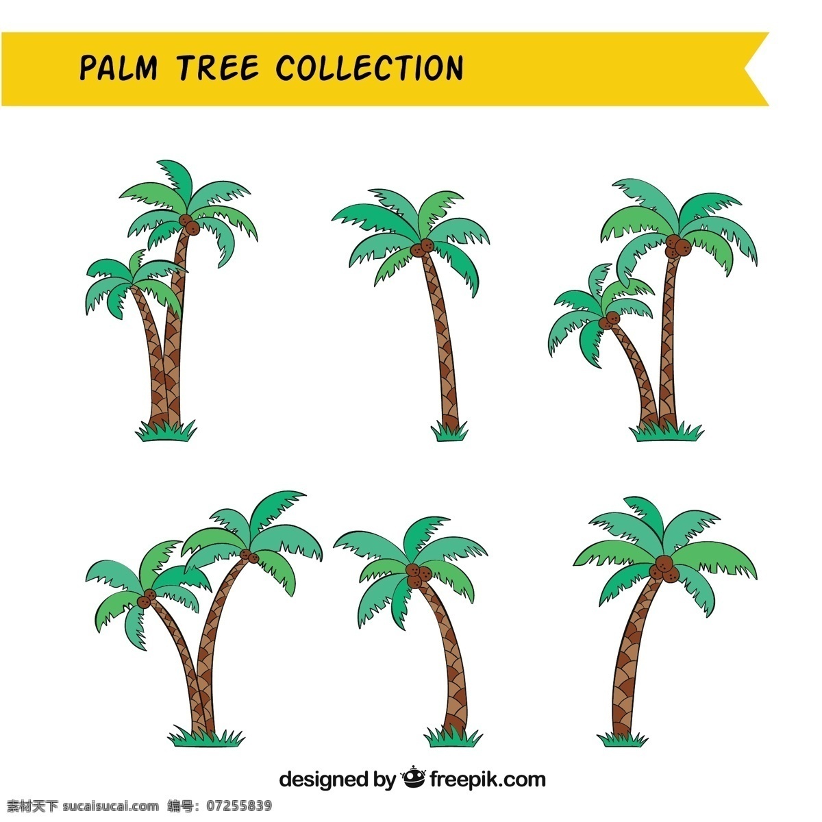 各种 棕榈 椰子树 树 手 夏 叶 自然 手绘 树叶 热带 植物 绘画 棕榈树 树木 环境 椰子 画 棕榈叶 概略
