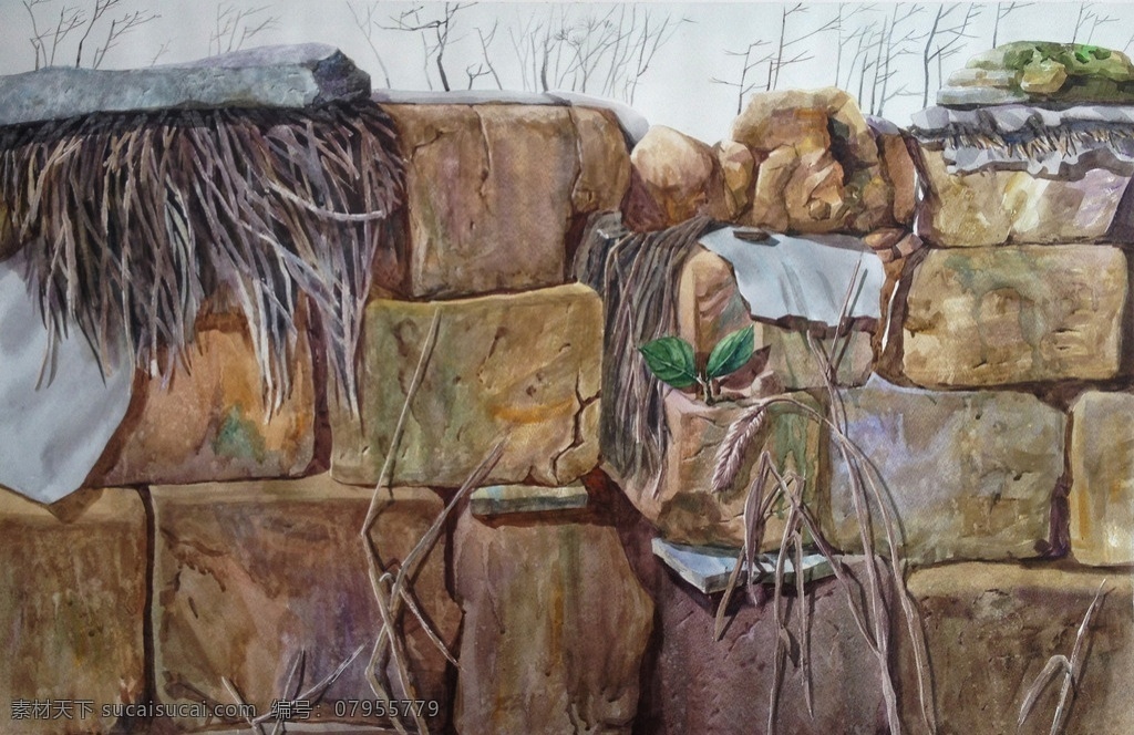 生命之歌 水彩画 破墙 干草 水彩静物 水彩作品 写实水彩 水彩 绘画书法 文化艺术