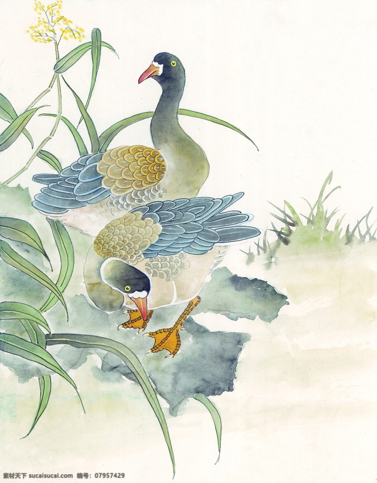 水墨 鸭子 芦苇 水墨野鸭 水墨画 名画 花鸟画 风景写意画 国画 中国画 绘画艺术 装饰画 挂画 书画文字 文化艺术