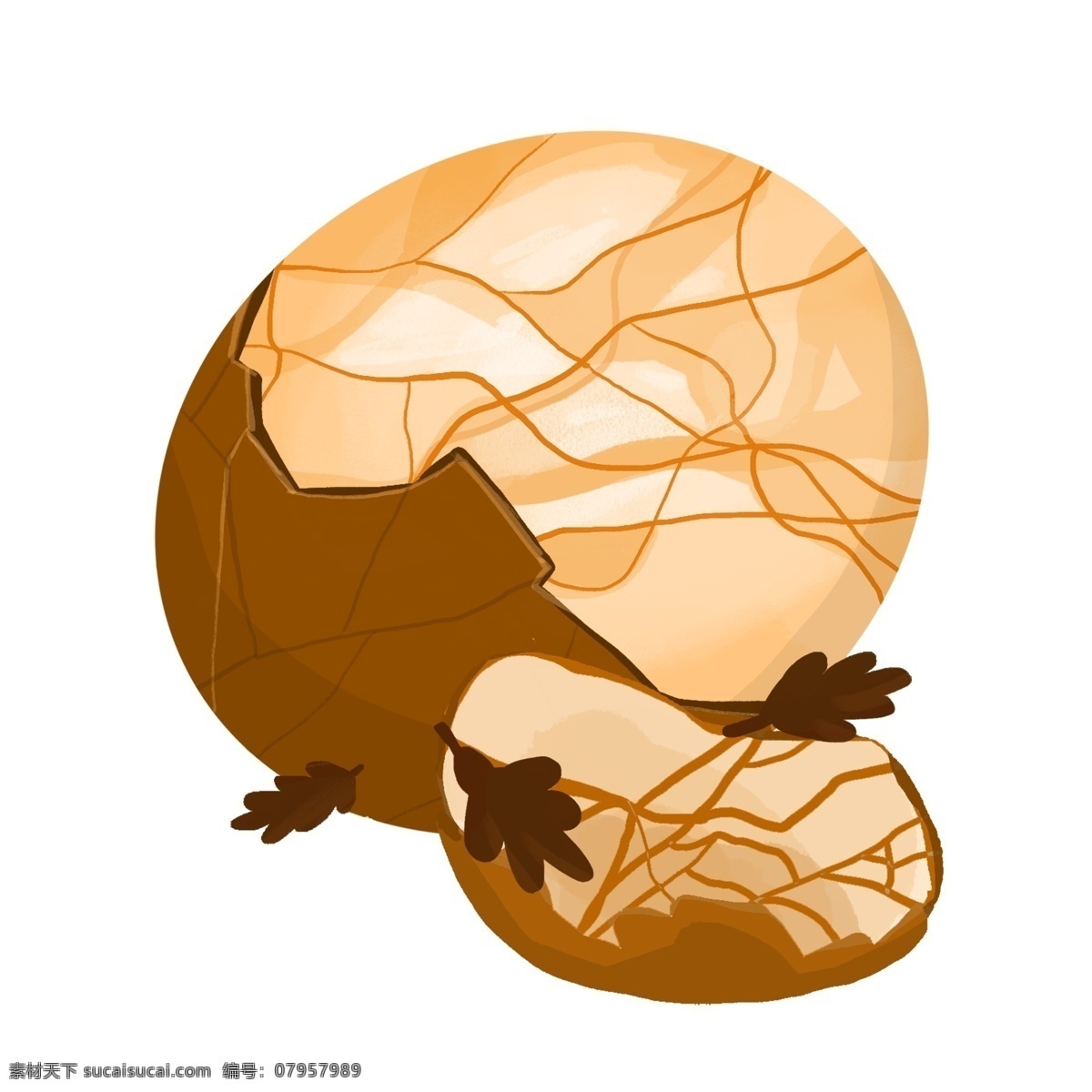 手绘 冬季 美食 茶叶蛋 插画 美味的茶叶蛋 棕色的茶叶蛋 美食插画 冬季美食 棕色的鸡蛋壳