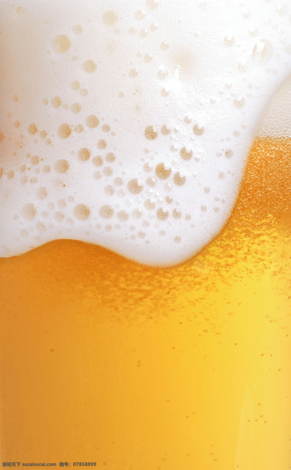 啤酒 泡沫 图 特写 酒 酒水 饮料 啤酒泡沫 扎啤 啤酒杯 啤酒广告 夏季饮料 餐饮 饮料酒水 餐饮美食 酒类图片