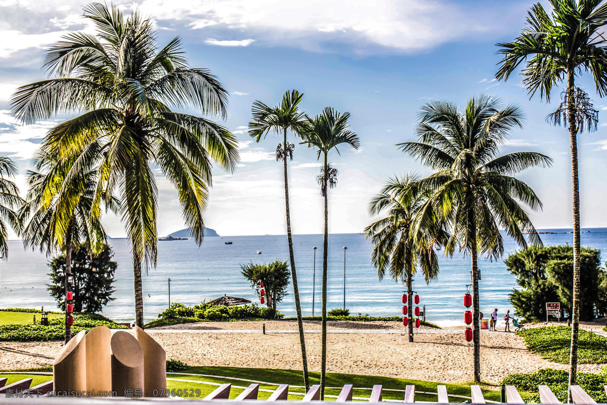 沙滩 椰子树 三亚 国内旅游 旅游摄影