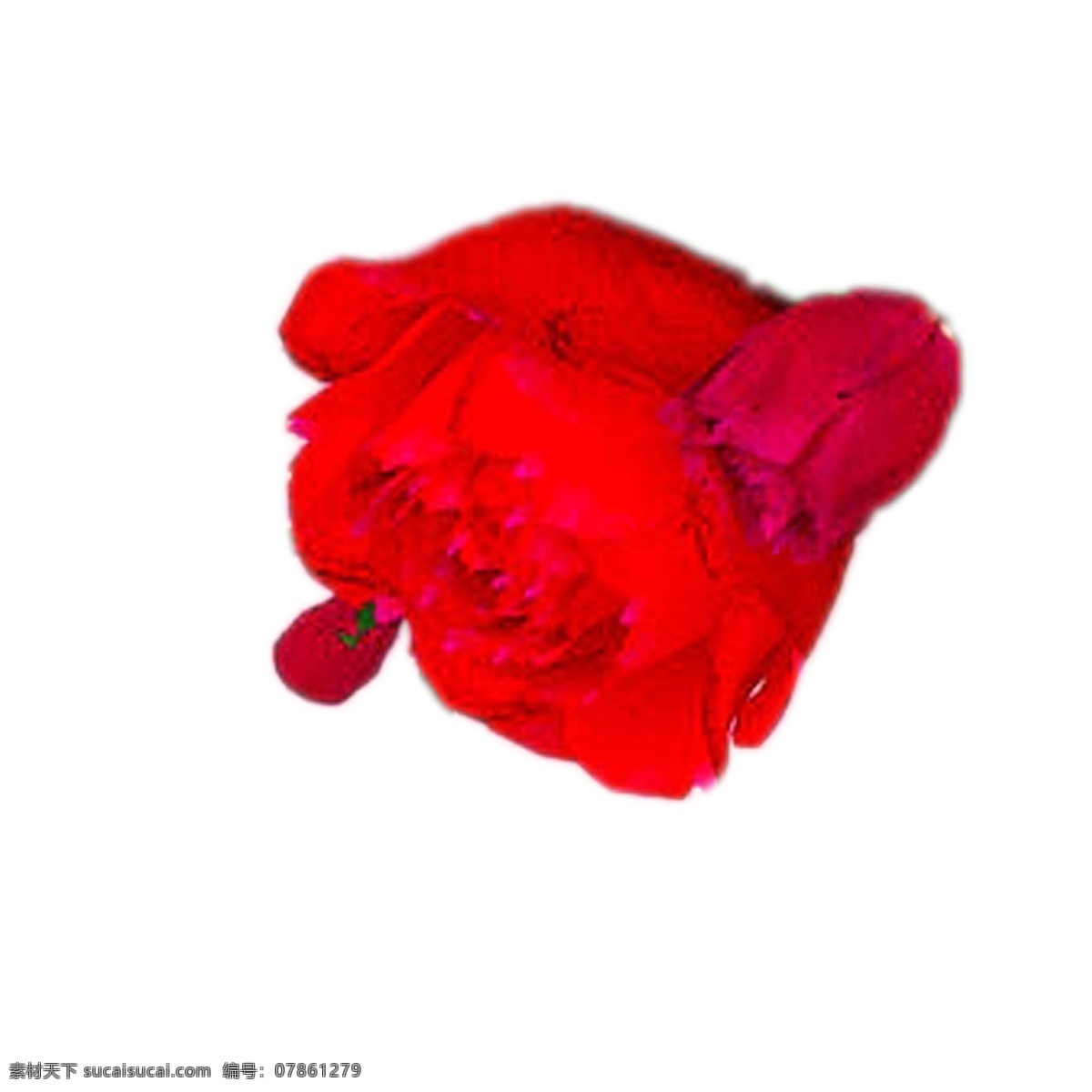 红色 鲜花 免 扣 红色花朵 美丽鲜花 春天花朵 鲜花装饰 卡通插图 创意卡通下载 插图 png图下载