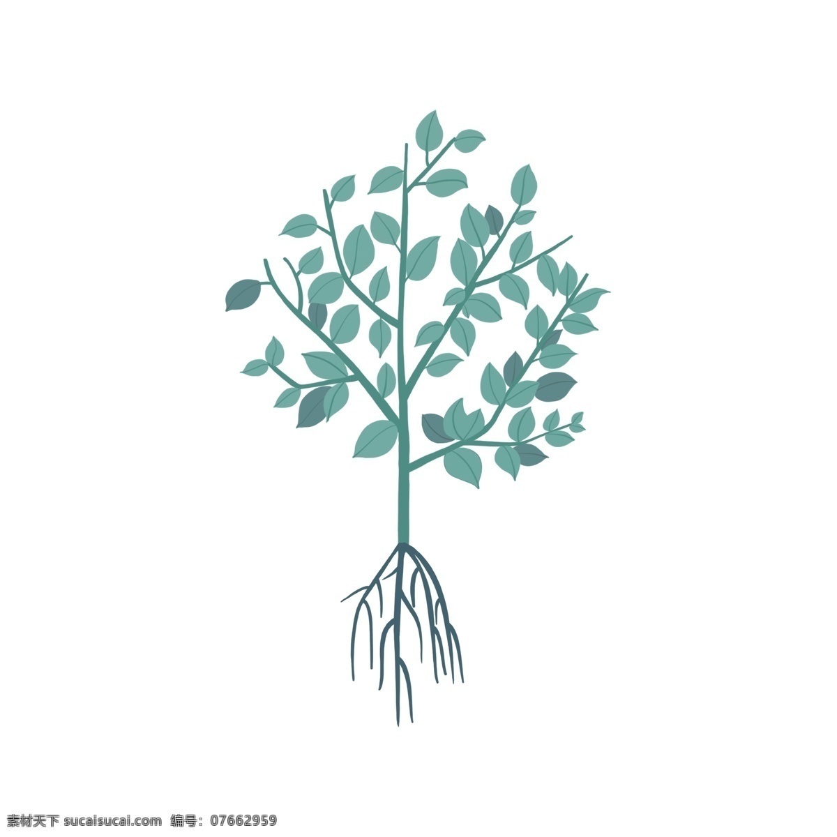 手绘 绿色植物 小苗 绿色 植物 树枝