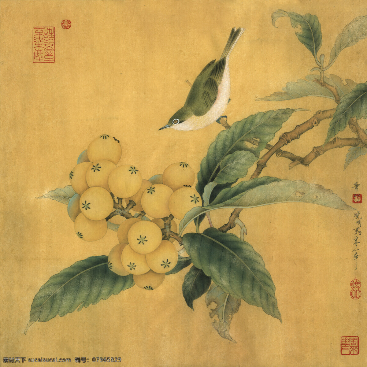 枇杷绣眼图 写意花鸟 中国画 工笔画 鸟儿 绣眼 枇杷子 古画 国画 文化艺术 绘画书法