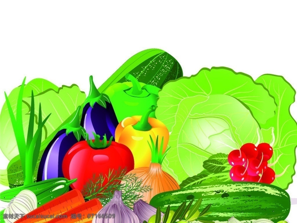 蔬菜矢量素材 蔬菜模板下载 蔬菜 黄瓜 胡萝卜 茄子 包菜 青菜 西红柿 绿叶 矢量 生物世界