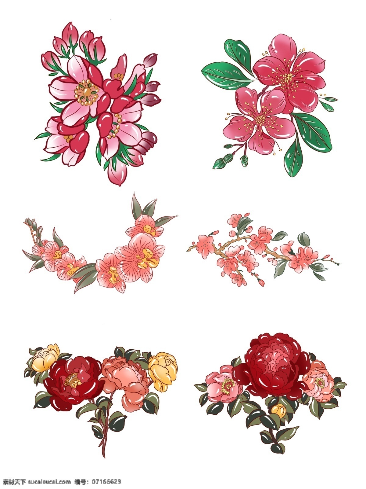 手绘 植物 传统 花卉 商用 手绘植物 手绘花卉 花朵 花叶 手绘花草 传统花卉 传统花草