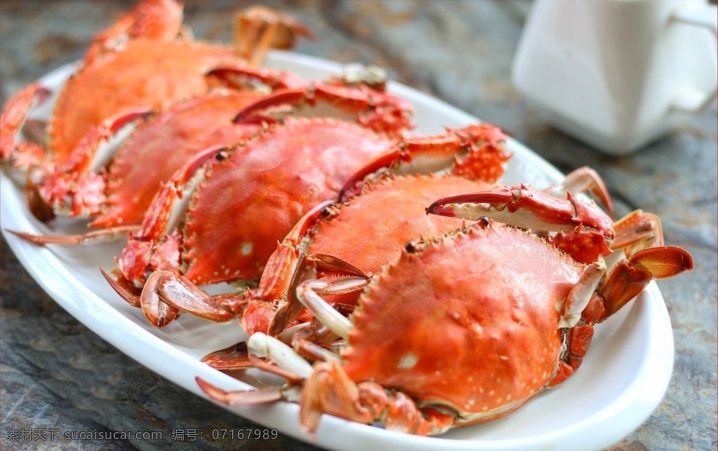 梭子蟹图片 蟹 螃蟹 海鲜 花蟹 梭子蟹 海蟹 梭子蟹科 美食 美味 新鲜 餐饮美食 西餐美食