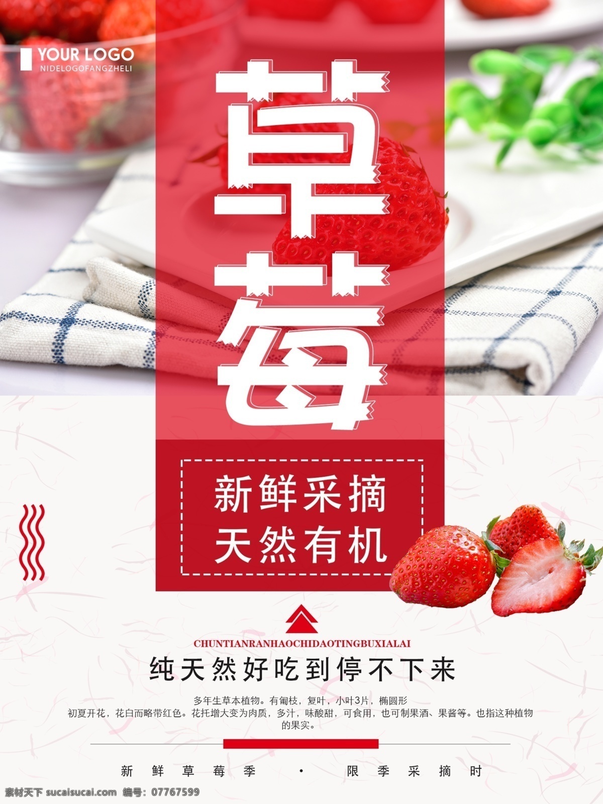清新 简约 草莓 美食 宣传海报 美食海报 草莓采摘 食物海报