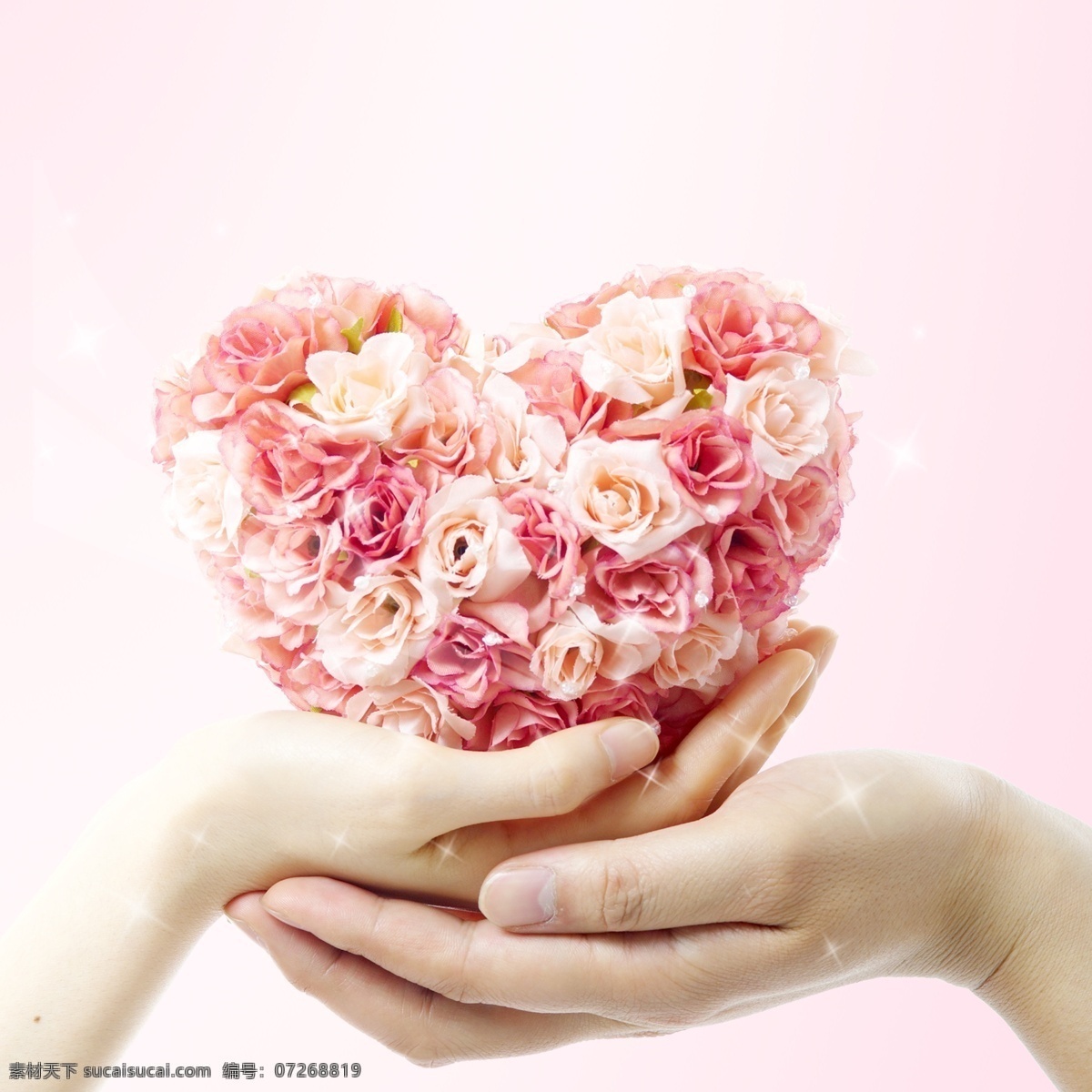 花朵 爱 心手 捧 花 高光 粉色 背景 红色玫瑰 爱心 手捧花 粉色背景素材 广告素材 广告元素