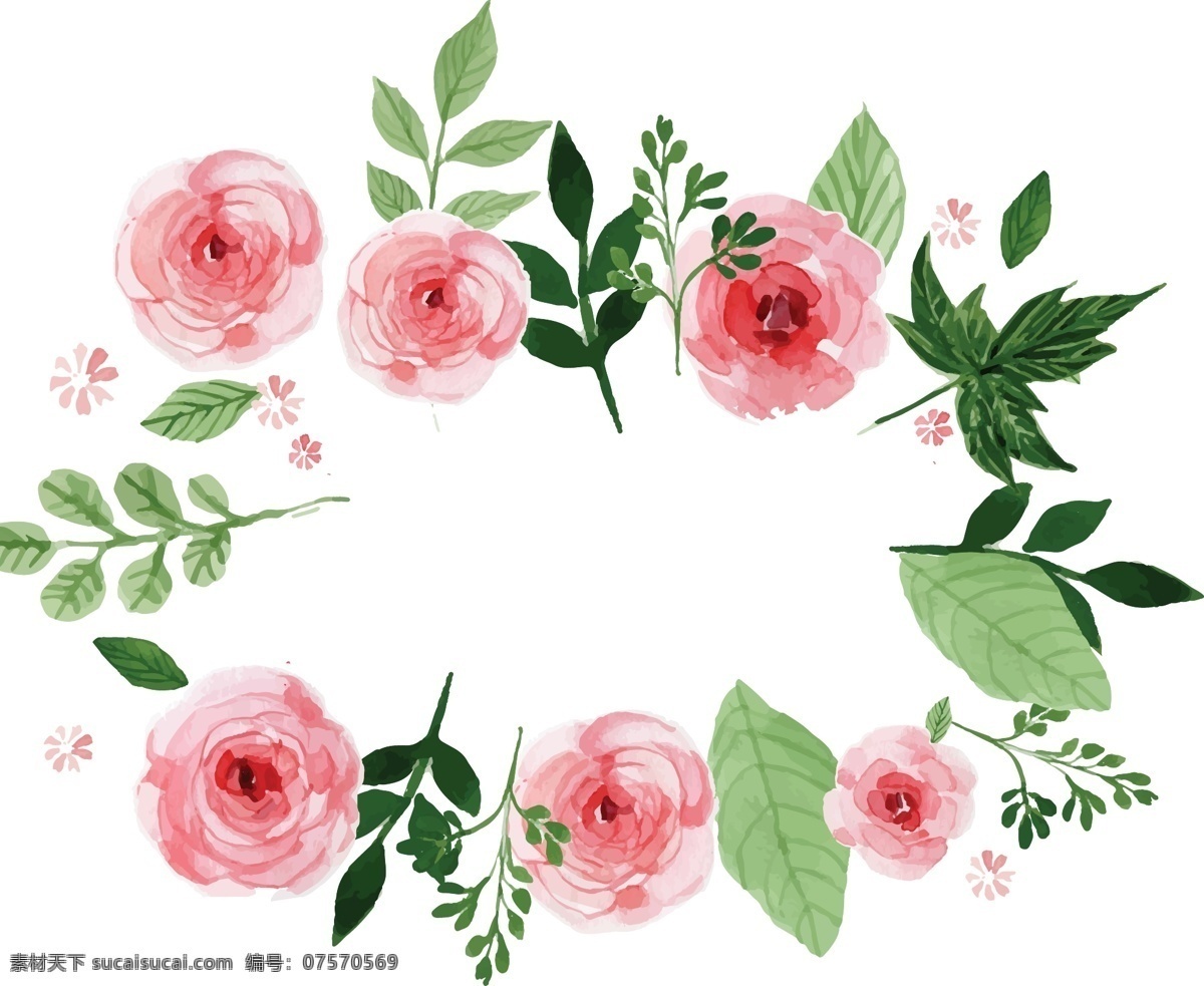 水彩 绘 玫瑰花 植物 插画 浪漫 爱情 水彩绘 手绘 粉色