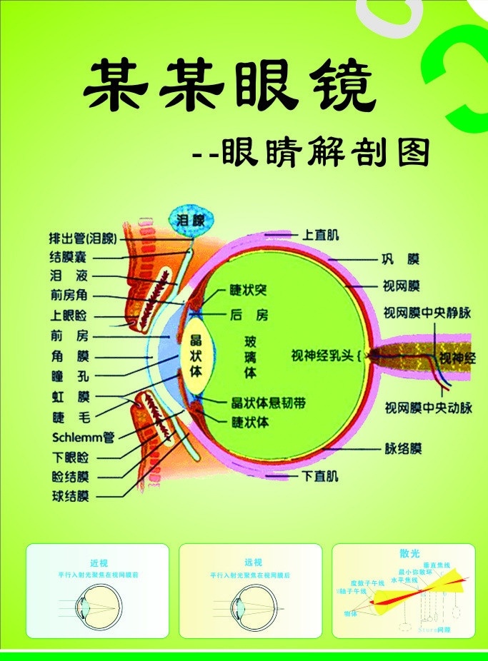 眼睛解剖图 某某眼镜 绿色底 字母 宣传 海报 视网膜 脉络膜 瞳孔 睫毛 矢量