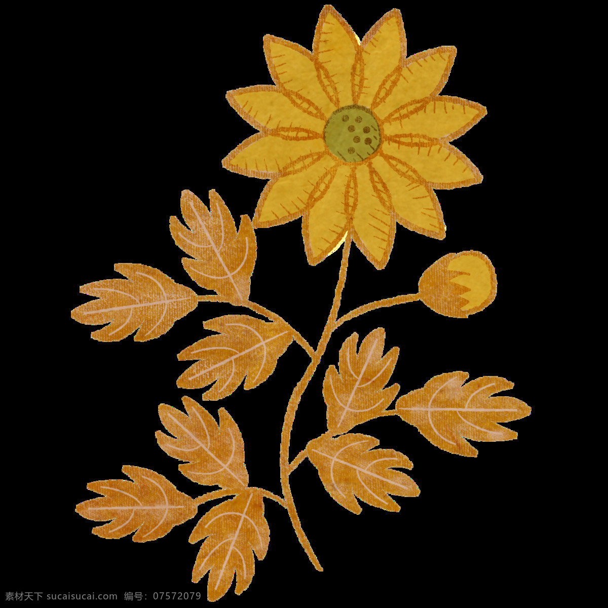 美丽 土黄色 花朵 手绘 菊花 装饰 元素 手绘植物 叶子 装饰元素