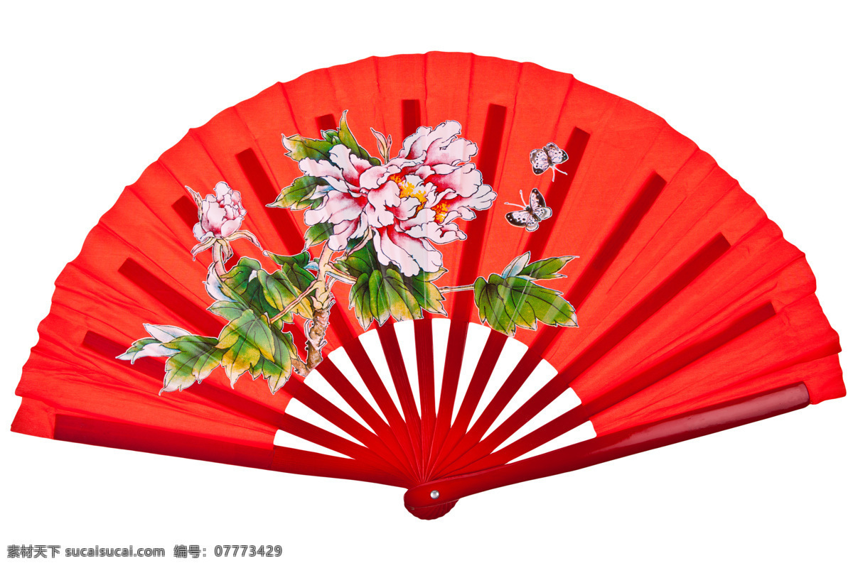 纸扇 牡丹 中国风 扇子 白色 中国 折扇 乘凉 文化 生活素材 生活百科 传统文化 文化艺术