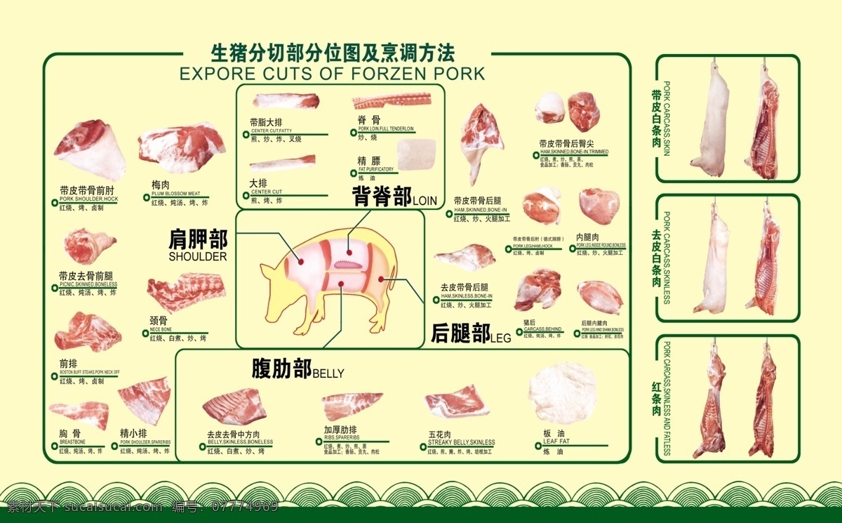 猪肉分割图 猪肉展板 猪肉 猎 分割图
