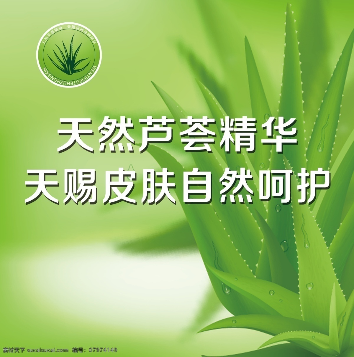 班痘 海报 芦荟 天然芦荟 精华 班痘海报 皮肤管理 分层