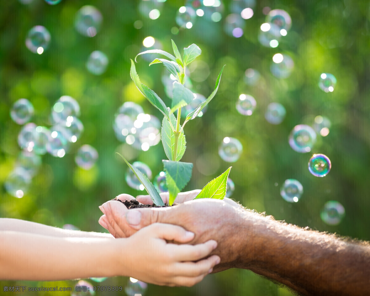 手里 植物 人物 手 汽泡 绿色 人体器官图 人物图片