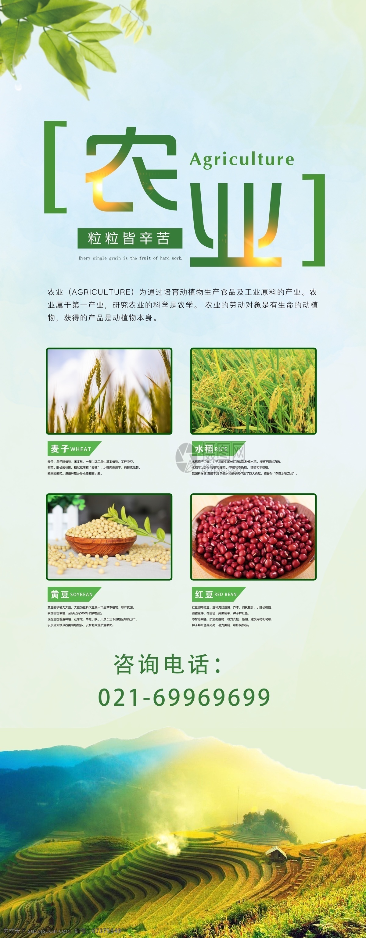 有机 粮食 生态农业 宣传 展架 大米 小麦 水稻 红豆 黄豆 农业 小农经济 农产品 有机粮食 易拉宝