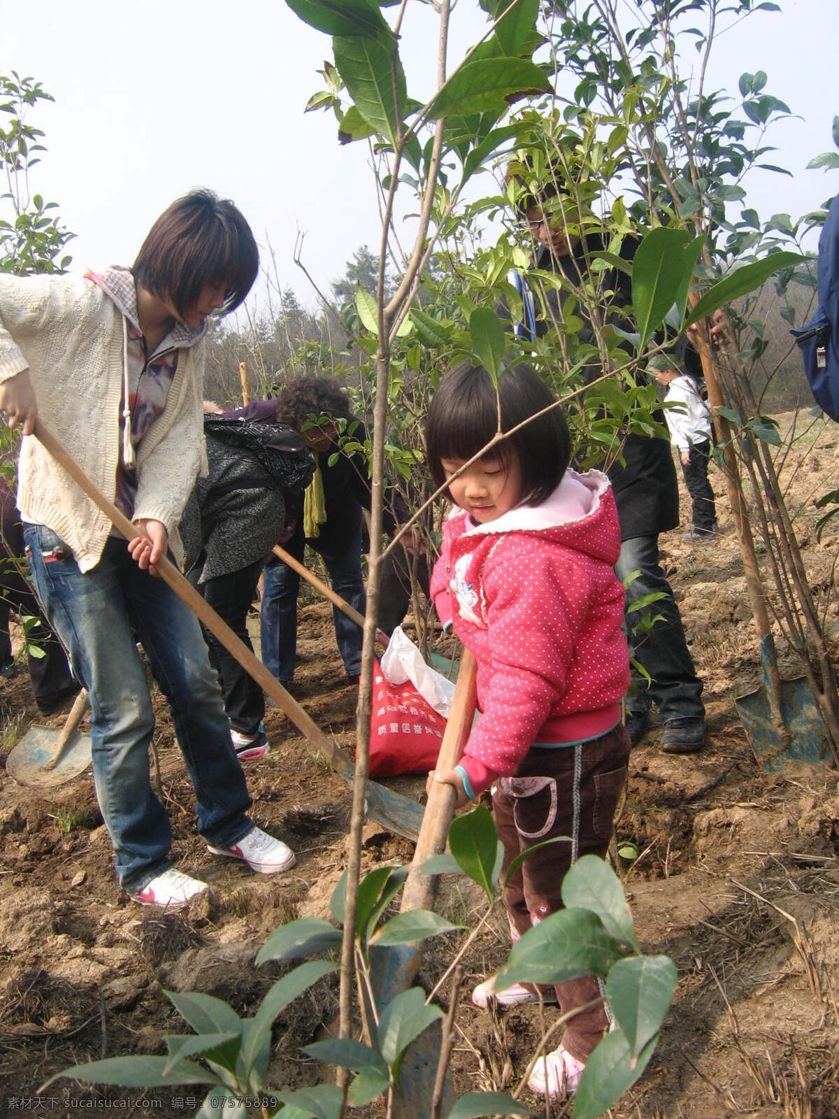 植树 节日庆祝 文化艺术 小孩 植树节 大家一起植树 节日素材 其他节日