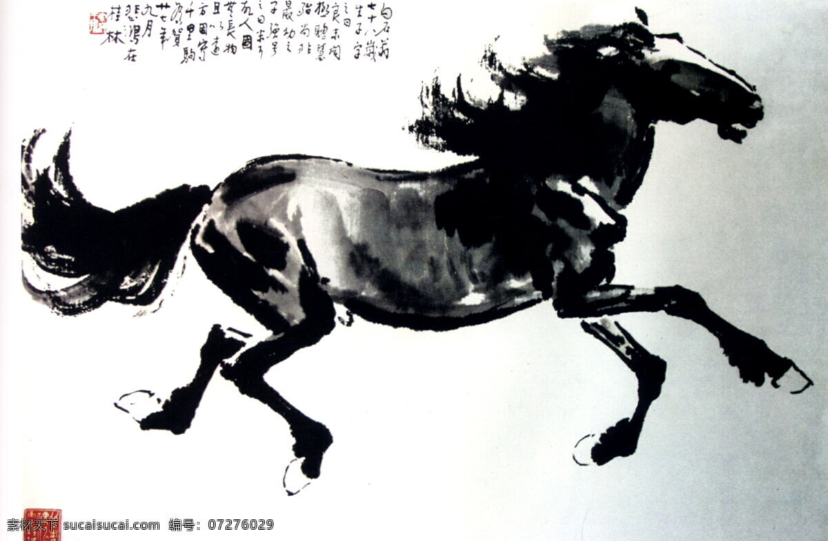 国画 千里驹 徐悲鸿 珍藏画 装饰画 绘画 文化艺术 绘画书法