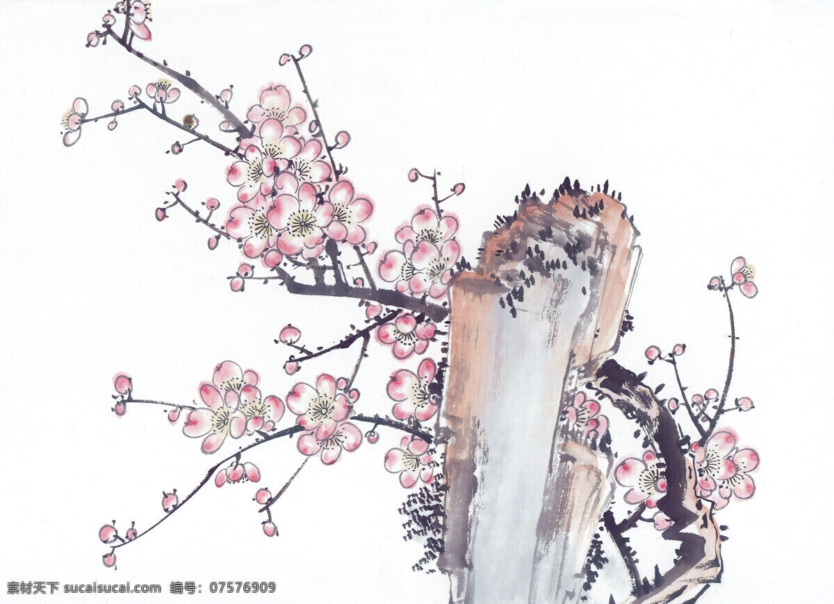 梅花国画 国画花 国画树木 树木绘画 水墨梅花 国画素材 文化艺术 绘画书法