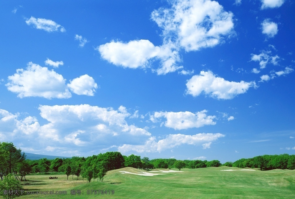 绿树 蓝天 白云 自然 静美 自然风景 自然景观