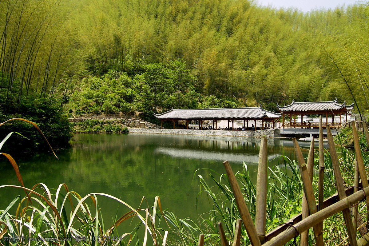 翠竹 倒影 湖泊 湖面 湖水 森林公园 亭台楼阁 竹海 公园 竹海公园 竹子 竹林 亭子 水榭 生态旅游 自然美景 自然风景 自然景观 矢量图 日常生活