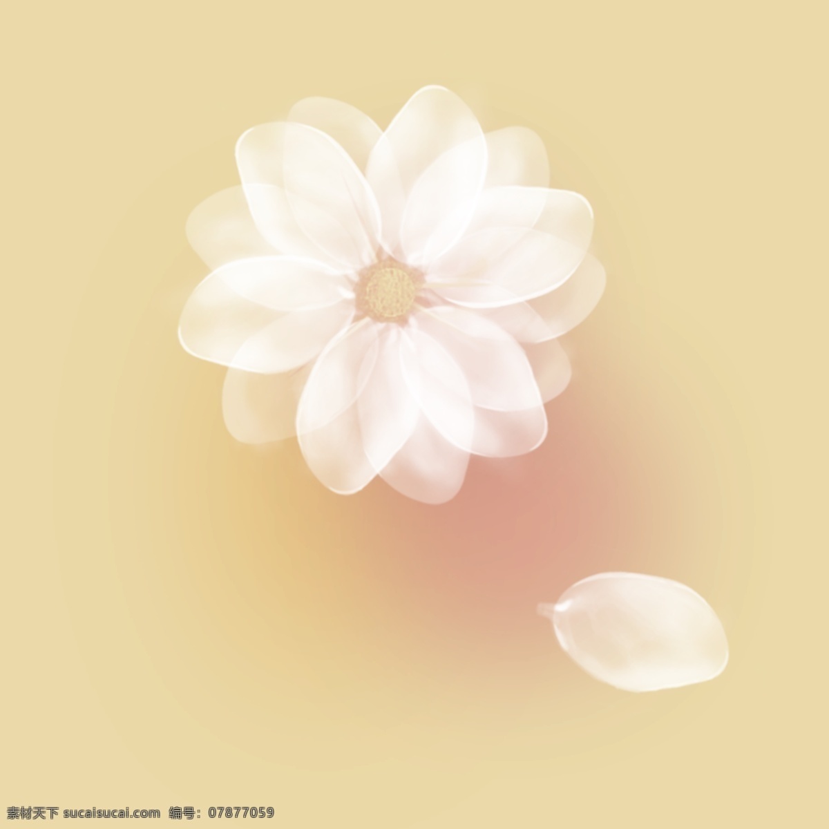 花朵 白色花朵 花朵素材 梦幻 白色 白色花朵素材 水墨画 水墨画素材 背景