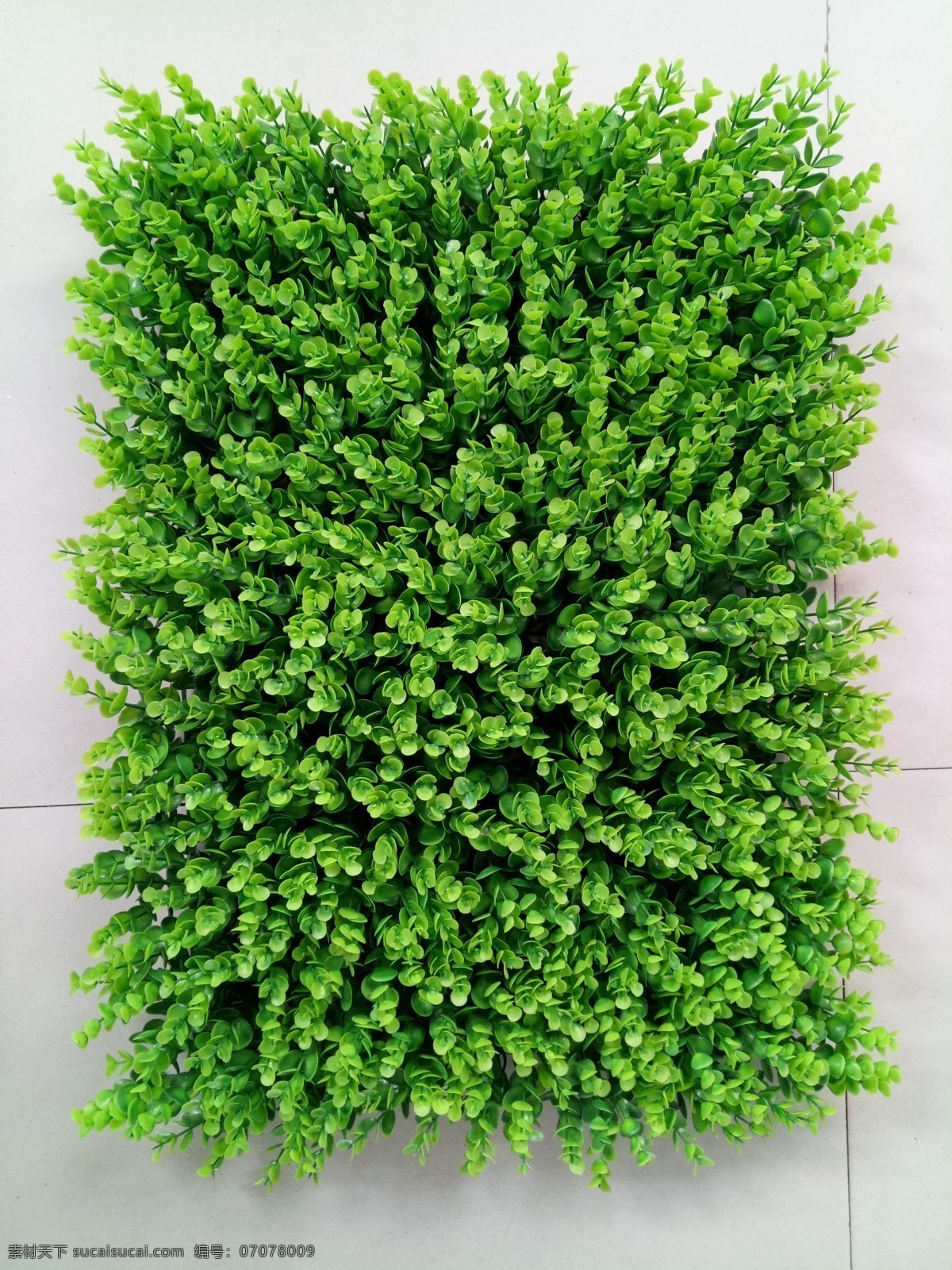 绿植墙 植被墙 绿叶墙 绿植墙素材 植物墙素材 植物墙背景 园林绿化 立体绿化 立体花坛 草坪