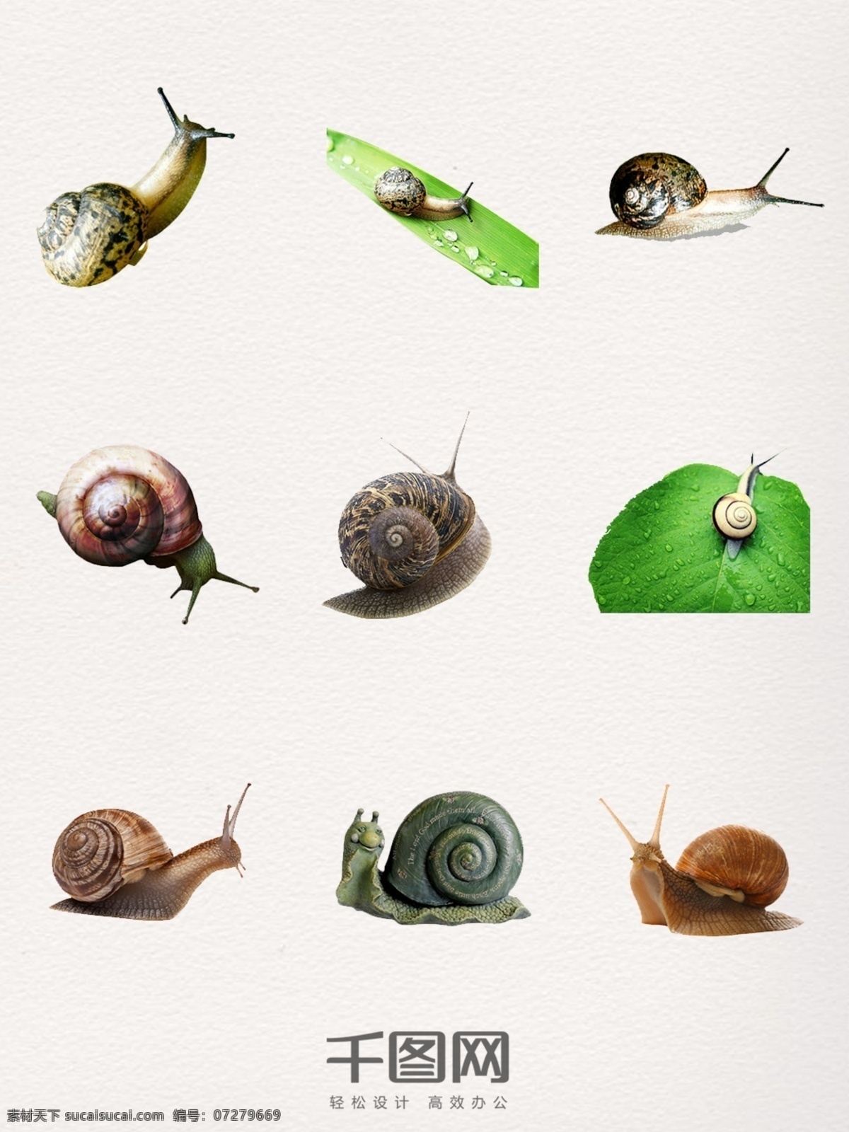 蜗牛 装饰 图案 元素 蜗牛装饰 蜗牛图案 蜗牛设计 蜗牛元素 蜗牛素材 蜗牛照片 蜗牛图片