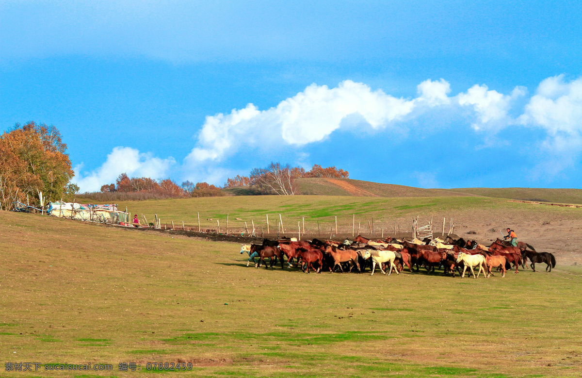 美丽的牧场 牧场 草场 草原 牧区 蓝天 白云 自然景观 田园风光