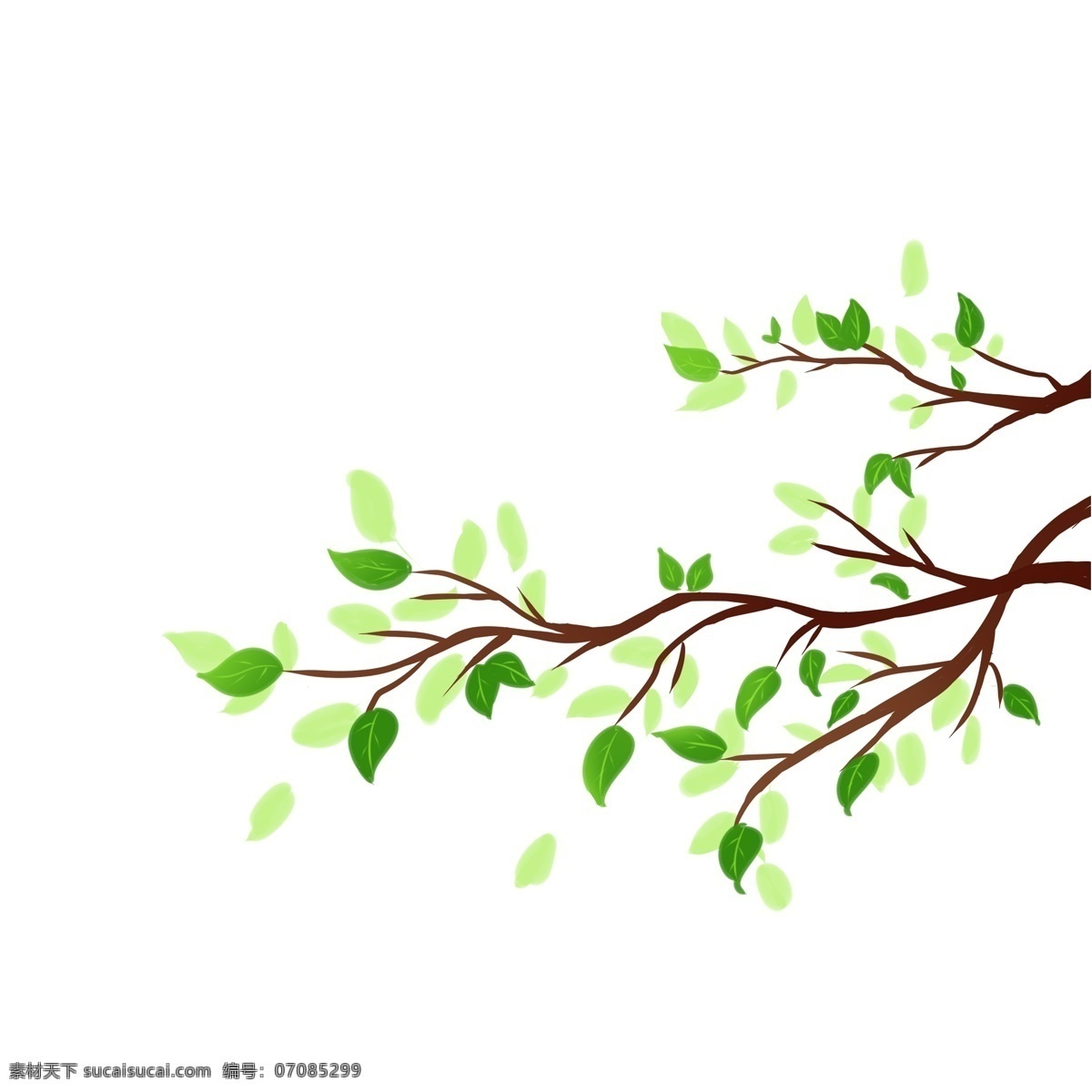 绿化 树枝 手绘 绿叶 叶子 树木 树苗 种树 植树 种植 春天 背景装饰 海报装饰 漂浮 小清新