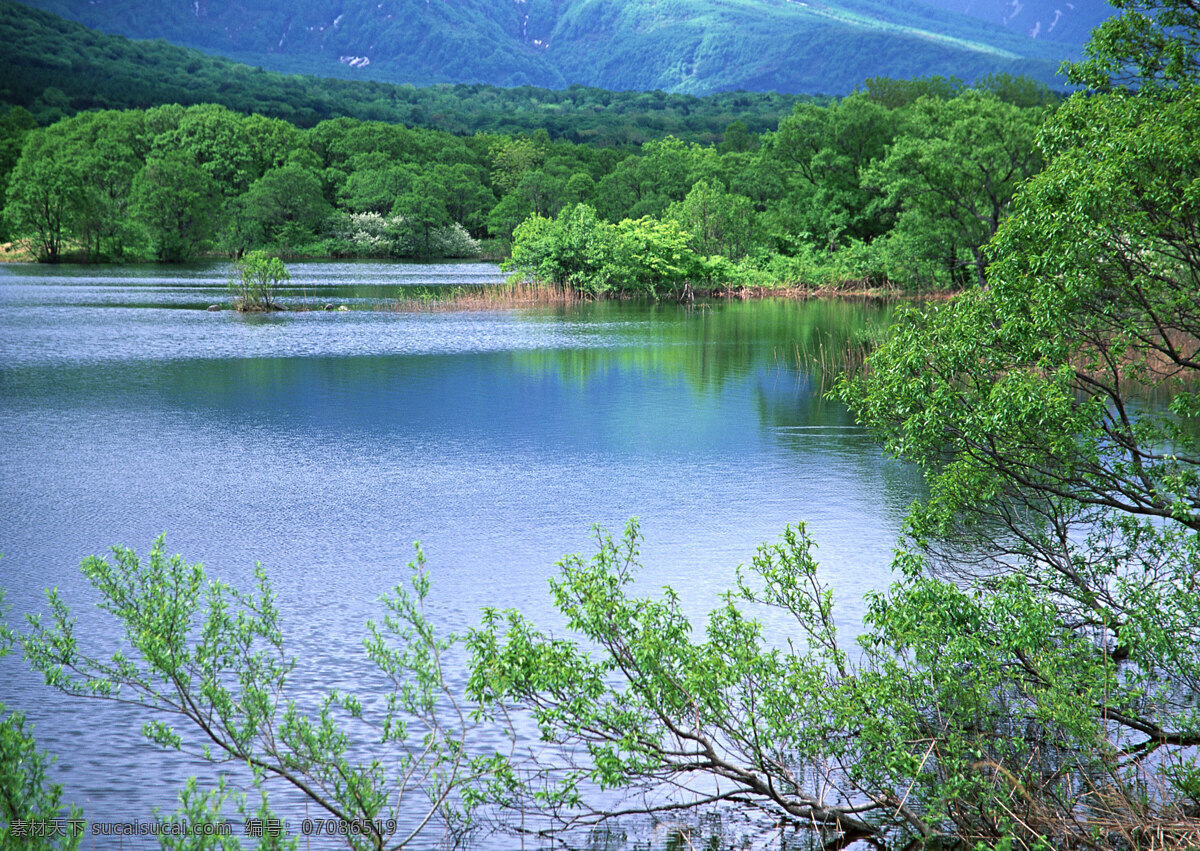 湖泊免费下载 草坪 风景 花 林荫 群山 山水 树木 田野 云雾 装饰素材 山水风景画