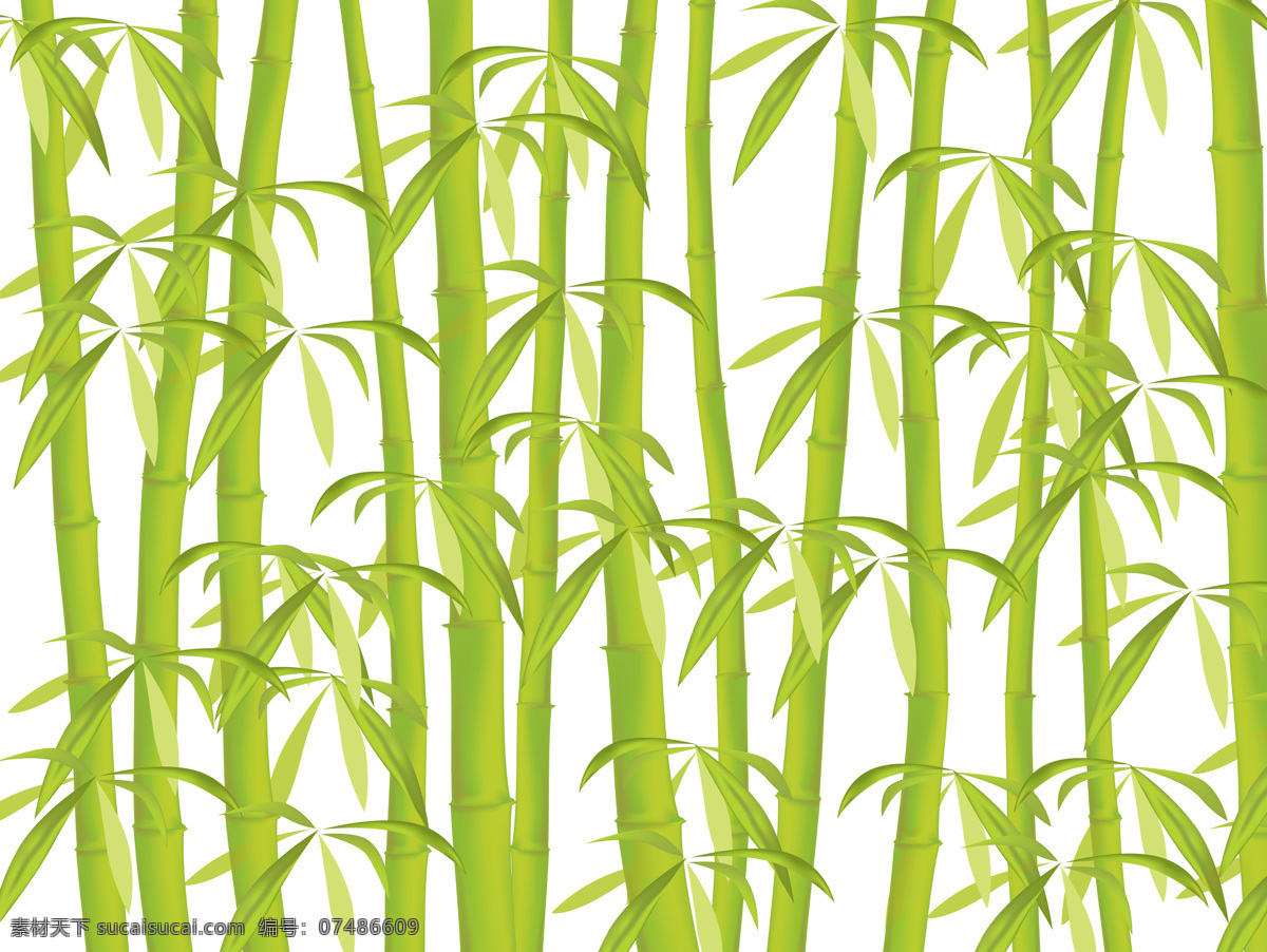 手绘竹子 高精度 手绘 绿色 竹子 美术 绘画 高精 竹叶 竹林 绘画书法 文化艺术