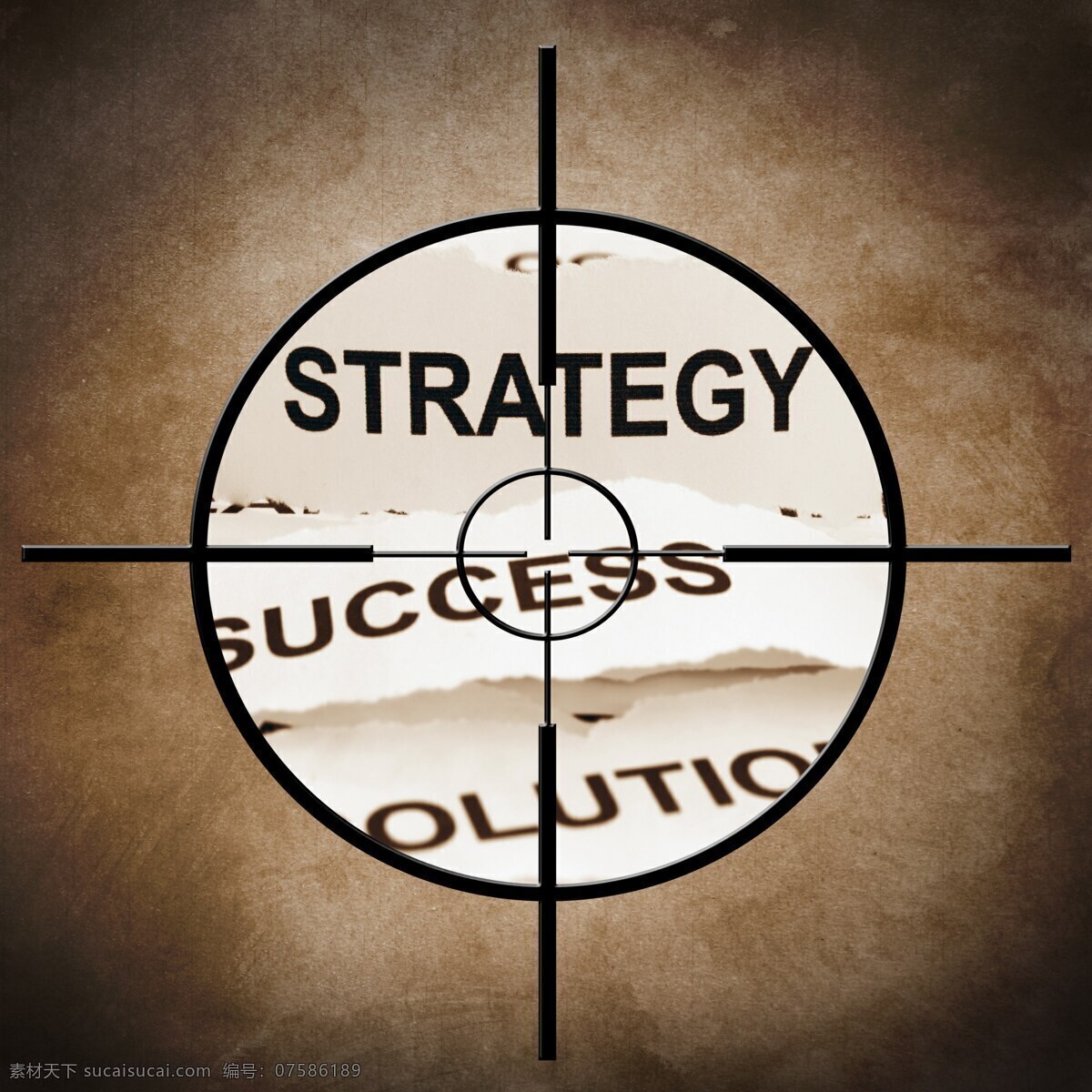 战略 目标 战略目标 商务金融