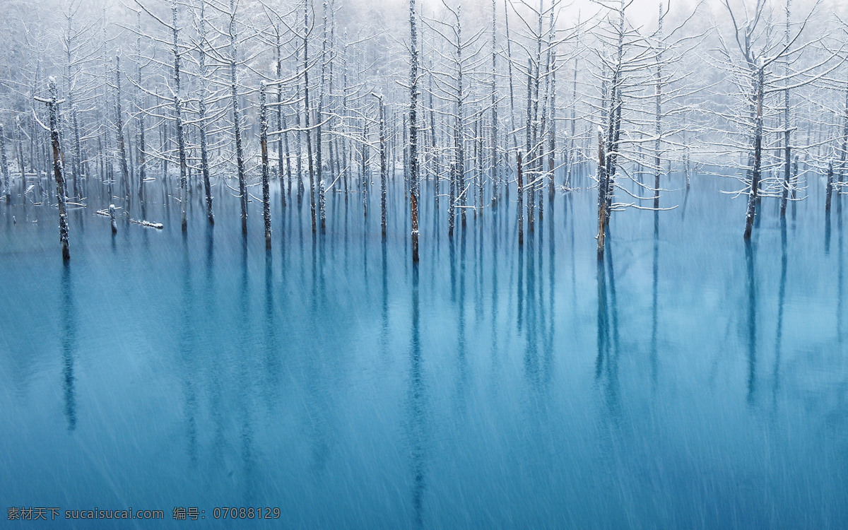 蓝色池塘 蓝色 池塘 日本 北海道 美瑛町 白雪 冬天 风景 自然 风光 自然景观 自然风景