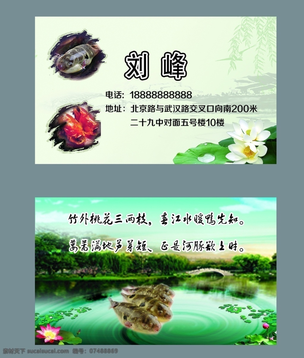 河豚 名片 荷花 古诗 湖 名片卡片