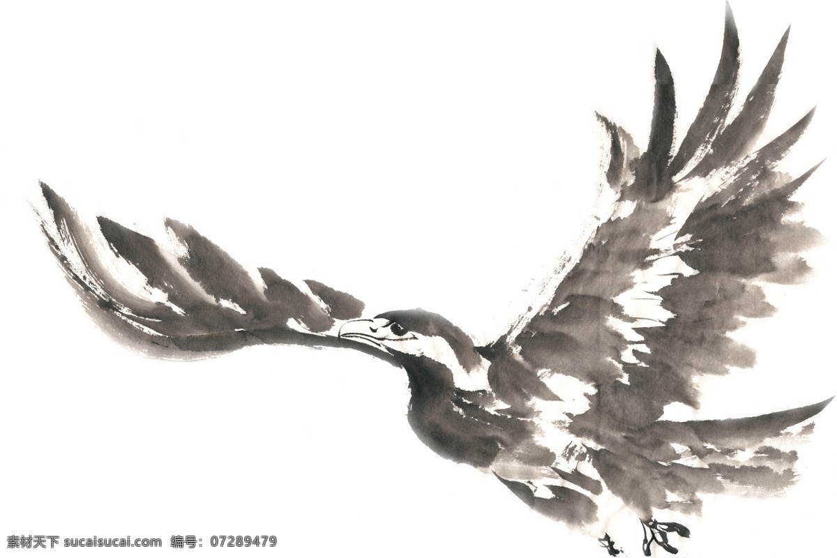 唐绘-水墨画 O1CN01xxP2qS1omnVv9KaqF_!!