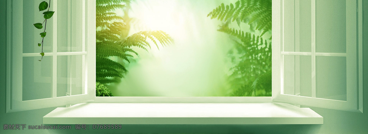 清新 绿色植物 元素 banner 背景 白色窗户 绿色 植物