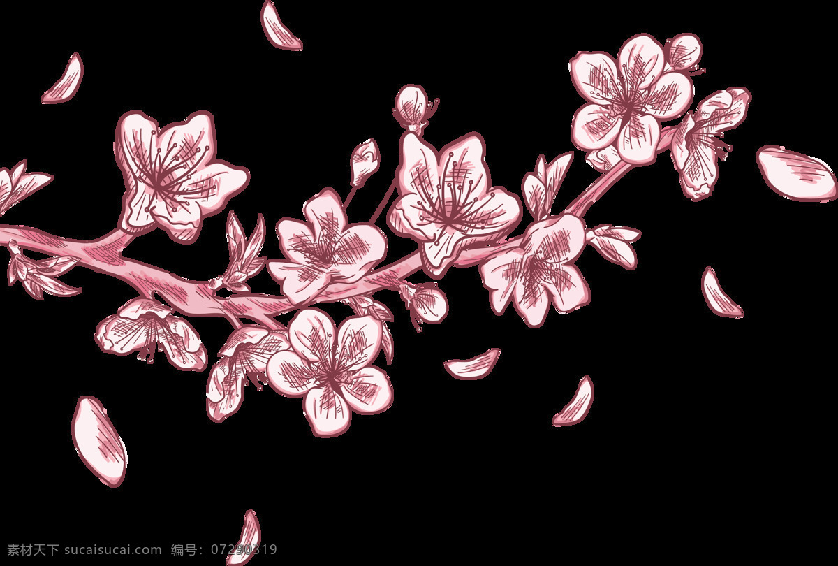 唯美 粉色 樱花 花枝 花朵 粉色花朵 花蕊 绚丽多彩 樱花树枝 手绘樱花