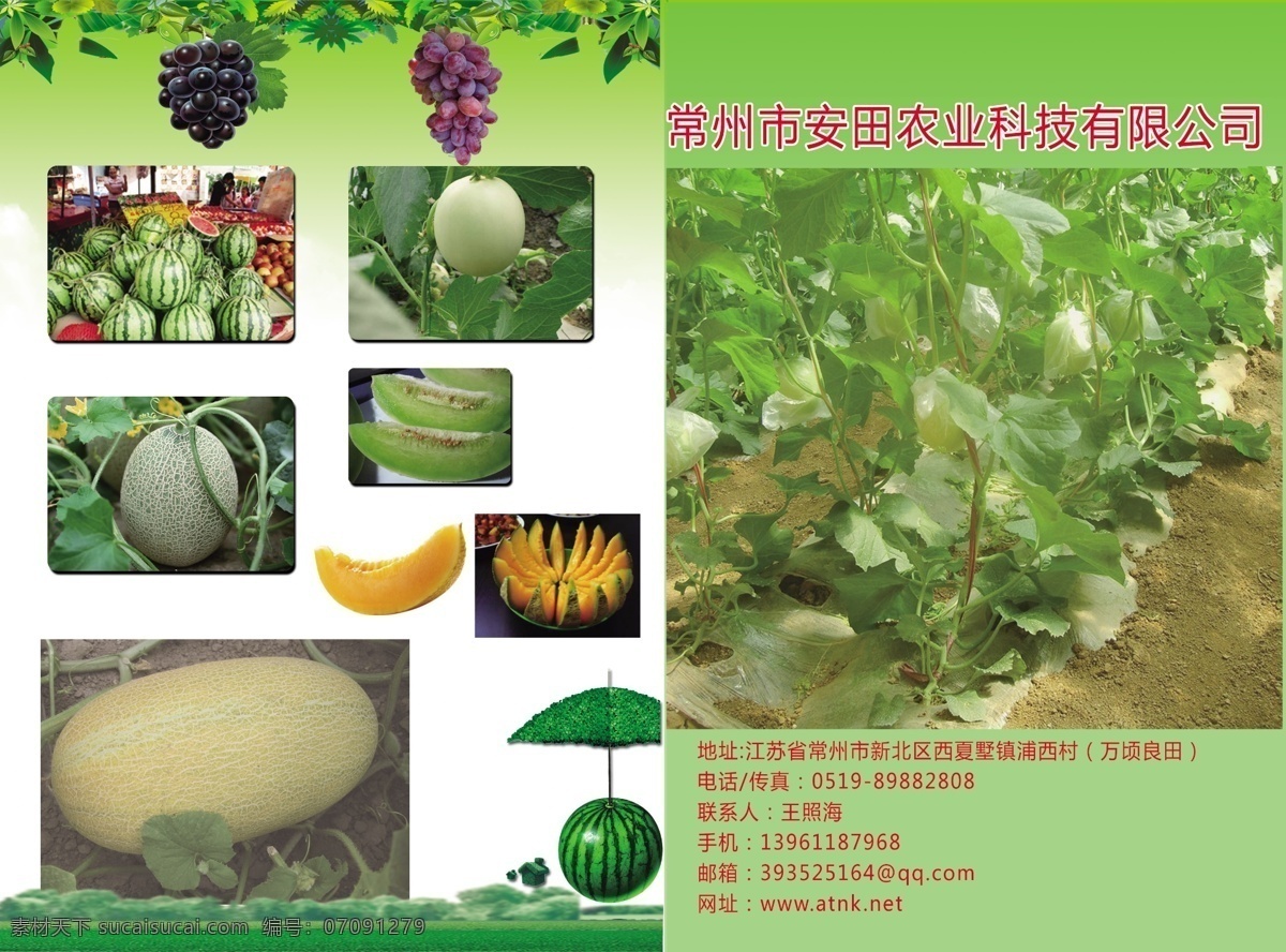 水果 蔬菜 类 农业科技 单 页 广告设计模板 画册设计 绿色食品 源文件 其他画册封面