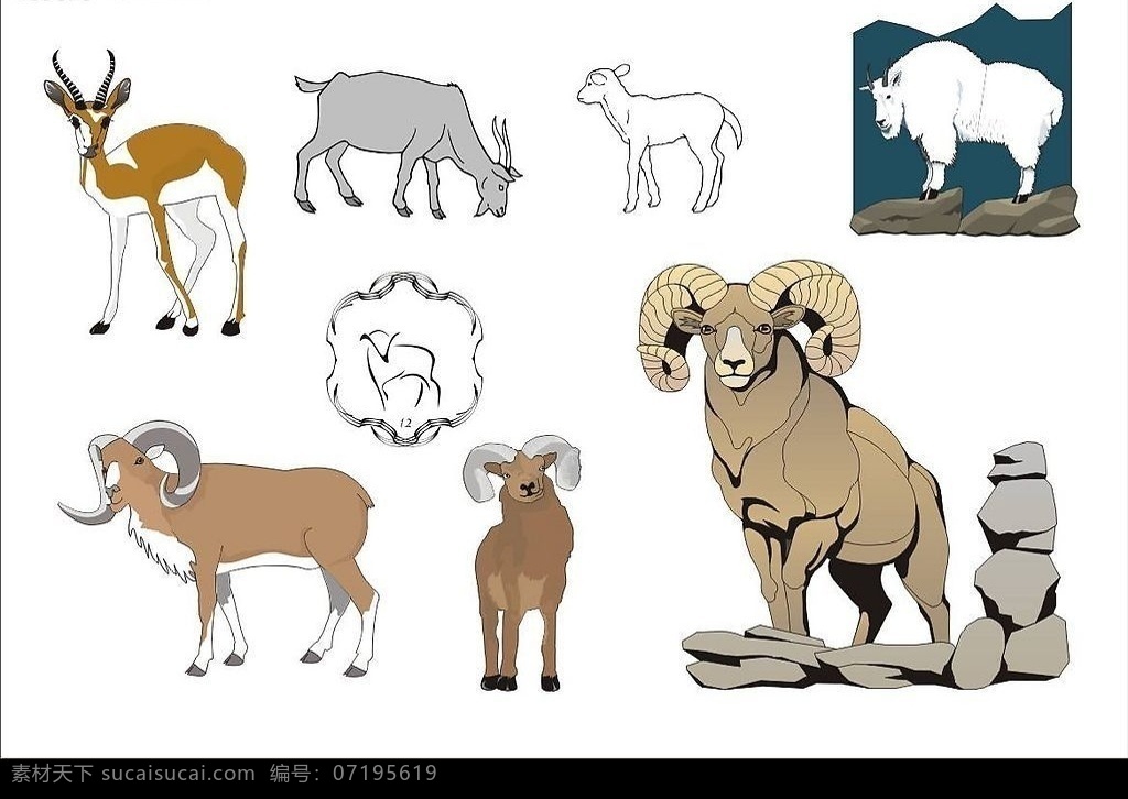 精选 coreldarw 矢量图 羊 动物 山羊 羚羊 生物世界 野生动物 矢量 矢量图库
