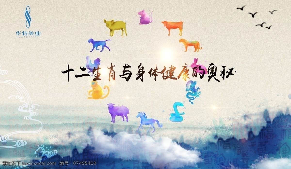 十二生肖 身体 健康 养生 传统 揭秘 生肖 分层