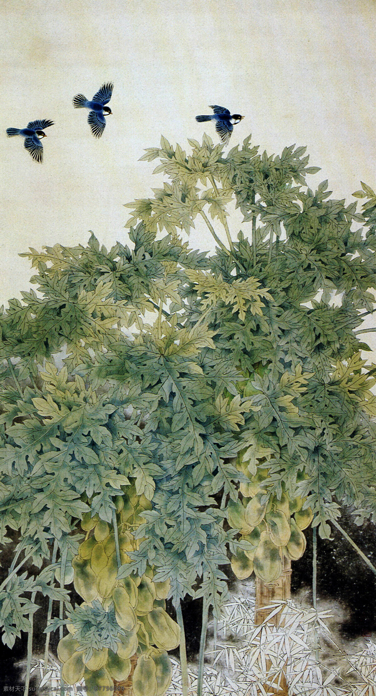 南音 美术 绘画 中国画 工笔重彩画 果树 木瓜树 鸟儿 国画艺术 国画集65 绘画书法 文化艺术