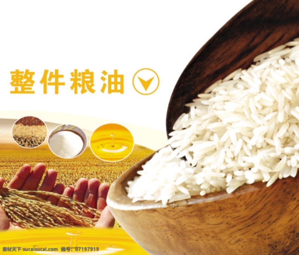 粮油 大米 白色