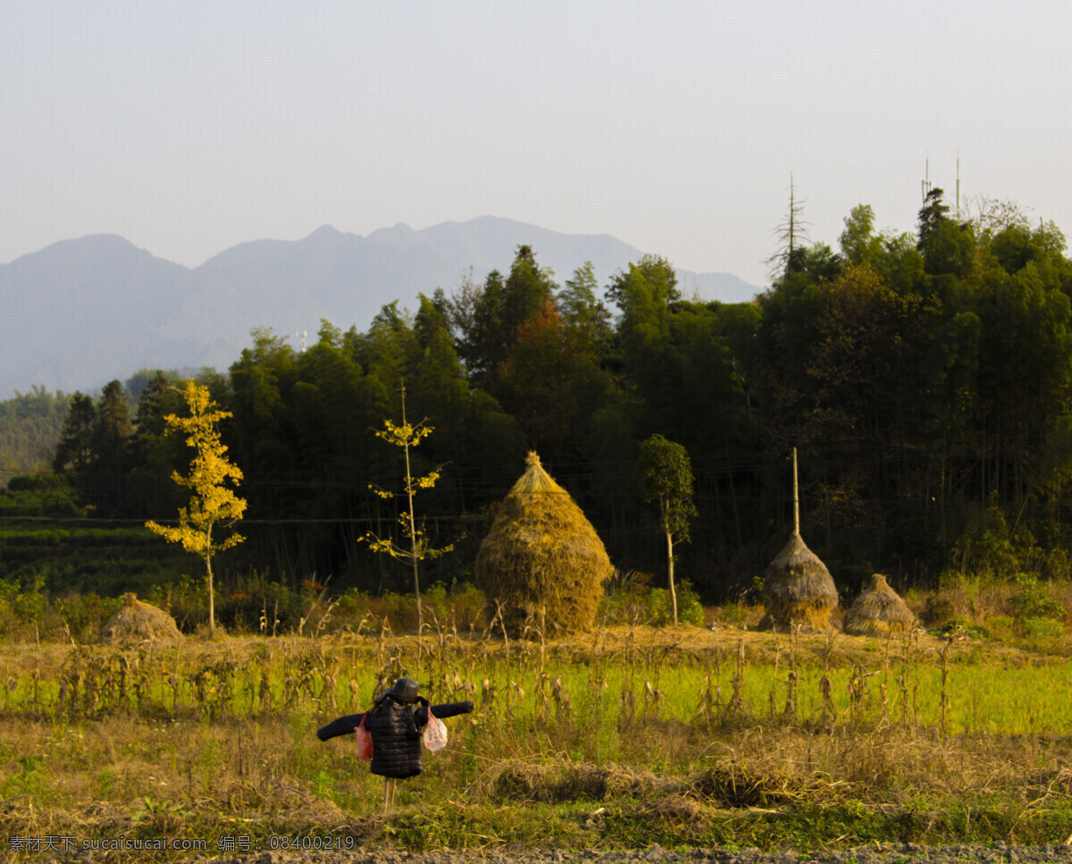 稻草垛 乡村小景 红叶 水果 木耳 乡村一景 随拍 田园 村庄 秋色 自然景观 田园风光