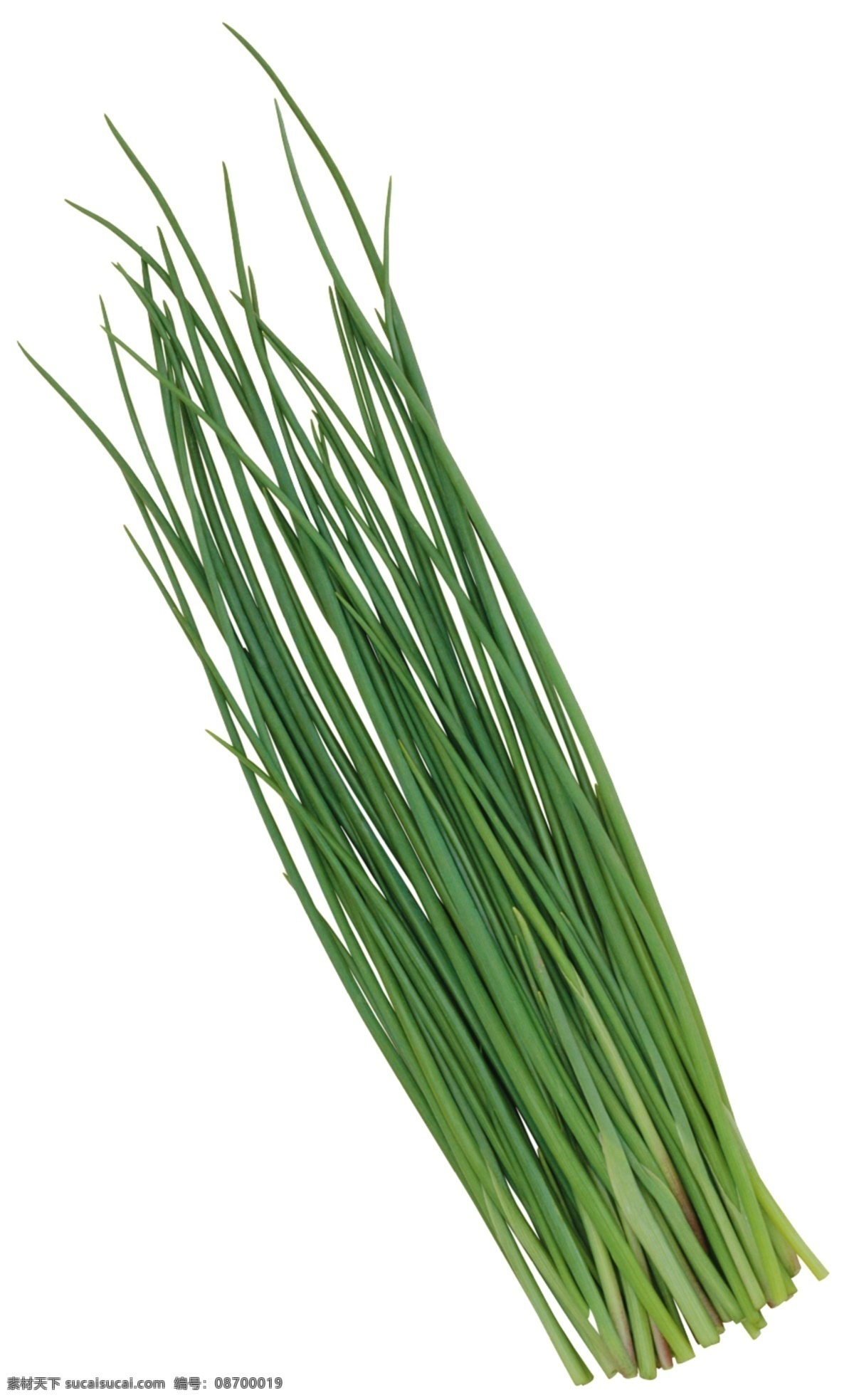 蔬菜 蒜台 分层 源文件