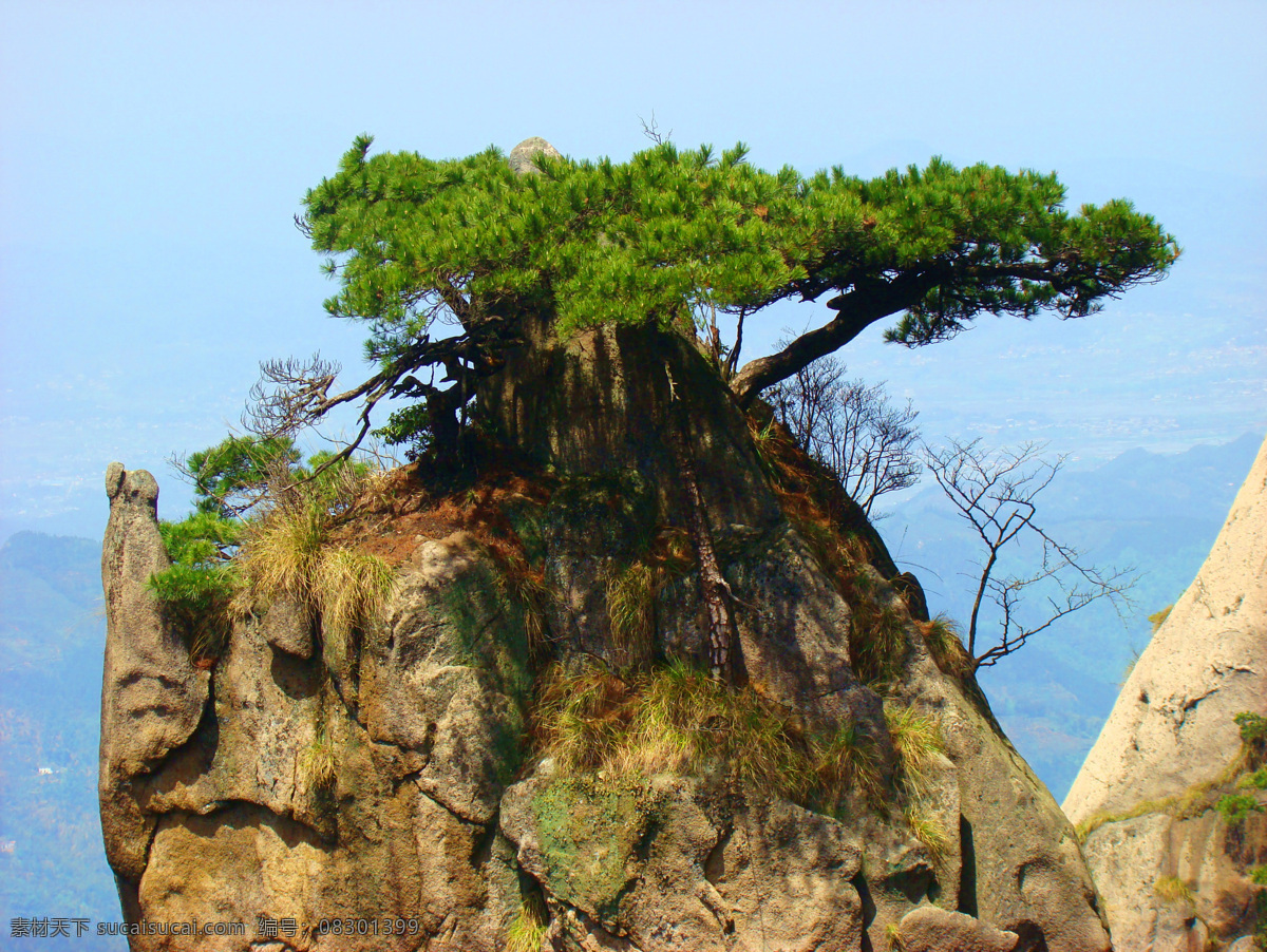 华山 风景 山景 旅游 景区 华山风光 山峰 险峻 山岭 云雾 山石 山林 树木 松树 国内旅游 旅游摄影