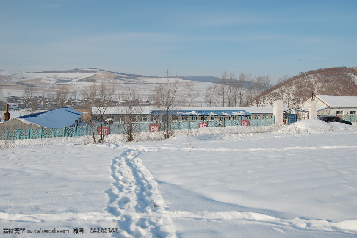 养殖场 合作社 农家院 大雪 封山 青贮 黄贮 养殖 东北农村 牛场 自然景观 山水风景