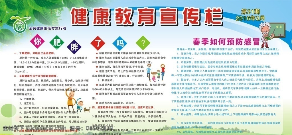 健康教育 宣传栏 肥胖 健康 教育 预防 感冒